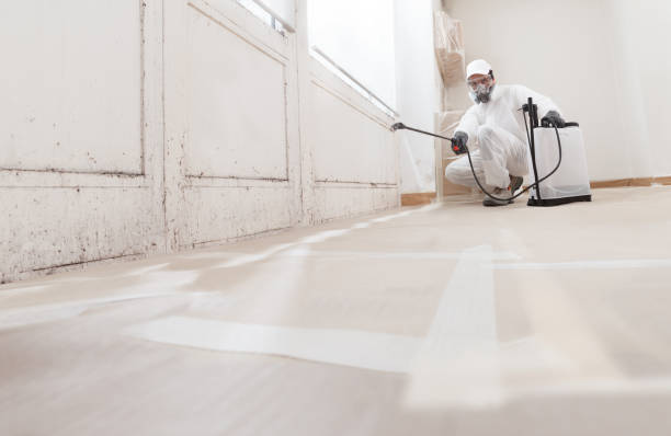 24/7 Emergency Mold Inspection experts in Frederick, MD