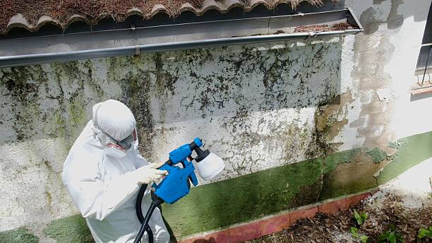 Trusted Mold Removal service in Frederick, MD - Cheap Mold Removal